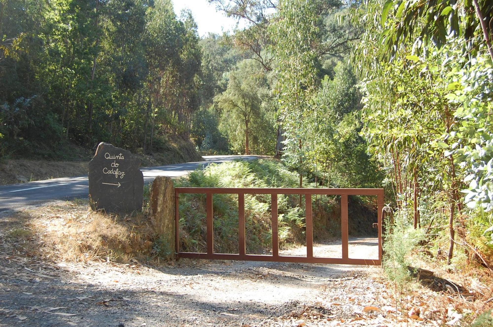 Casa De Campo "Quinta Do Cadafaz" Alvarenga Kültér fotó