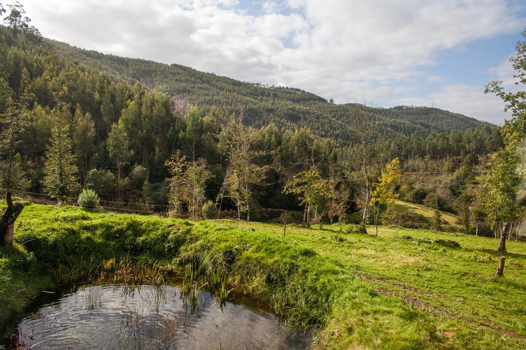 Casa De Campo "Quinta Do Cadafaz" Alvarenga Kültér fotó