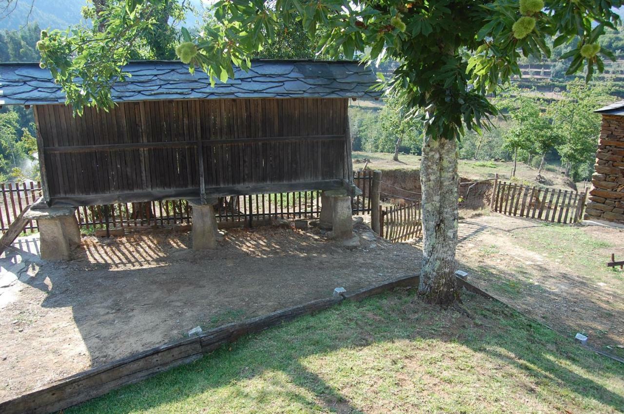 Casa De Campo "Quinta Do Cadafaz" Alvarenga Kültér fotó